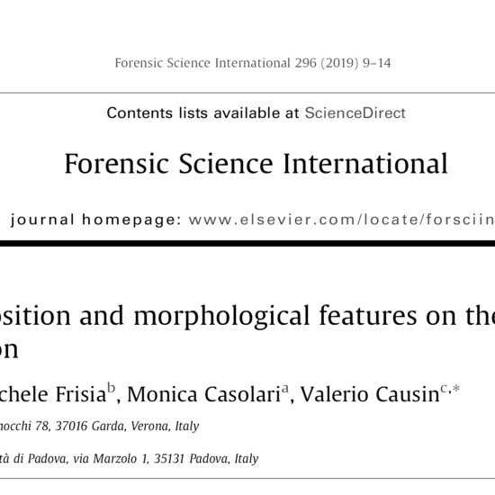 L’effetto-della-composizione-chimica-e-della-morfologia-sull’improntamento-delle-munizioni-calibro-22-blackwhite